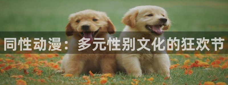 新动漫岛：同性动漫：多元性别文化的狂欢节