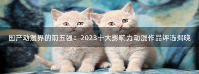 www.动漫岛：国产动漫界的前五强：2023十大影响力动漫作品评选揭晓