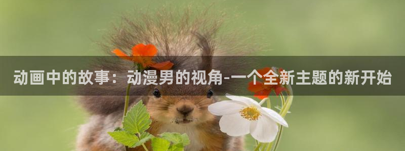 里番动漫岛：动画中的故事：动漫男的视角-一个全新主题的新开始