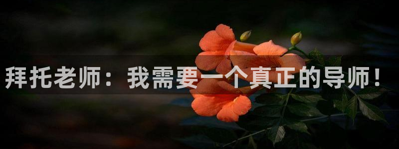 动漫岛网页：拜托老师：我需要一个真正的导师！