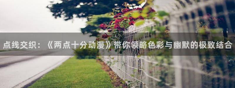 动漫岛专注动漫的门户网站app：点线交织：《两点十分动漫》带你领略色彩与幽默的极致结合