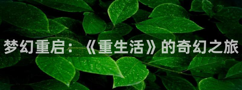 动漫岛安卓：梦幻重启：《重生活》的奇幻之旅