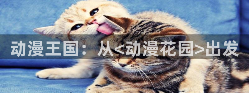 日本动漫岛：动漫王国：从<动漫花园>出发