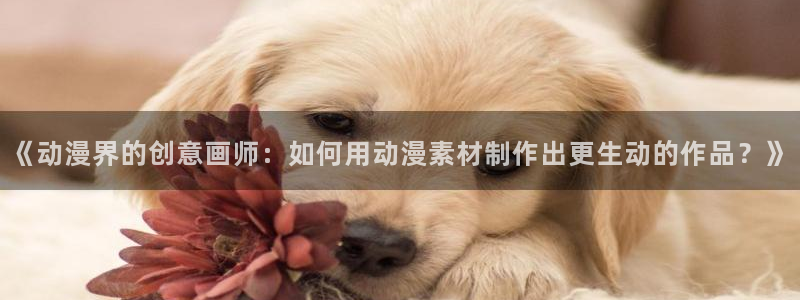 动漫岛攻略：《动漫界的创意画师：如何用动漫素材制作出更生动的作品？》